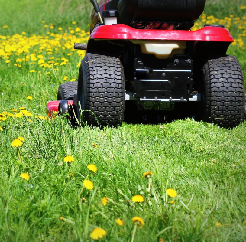 Montana Landscaping Maintenance, LLC