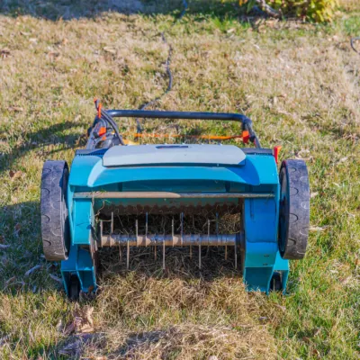 Aerate Lawn