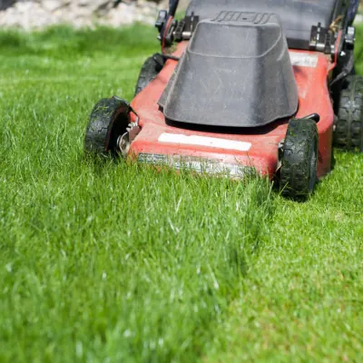 Lawn Maintenance & Mowing Services